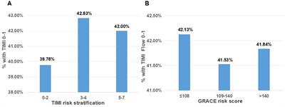 Clinical decision-making in patients with non-ST-segment-elevation myocardial infarction: more than risk stratification